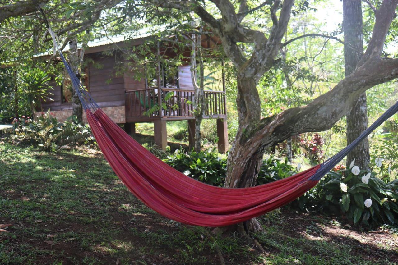 Eco Granja Don Lolo Villa Quesada  Екстериор снимка