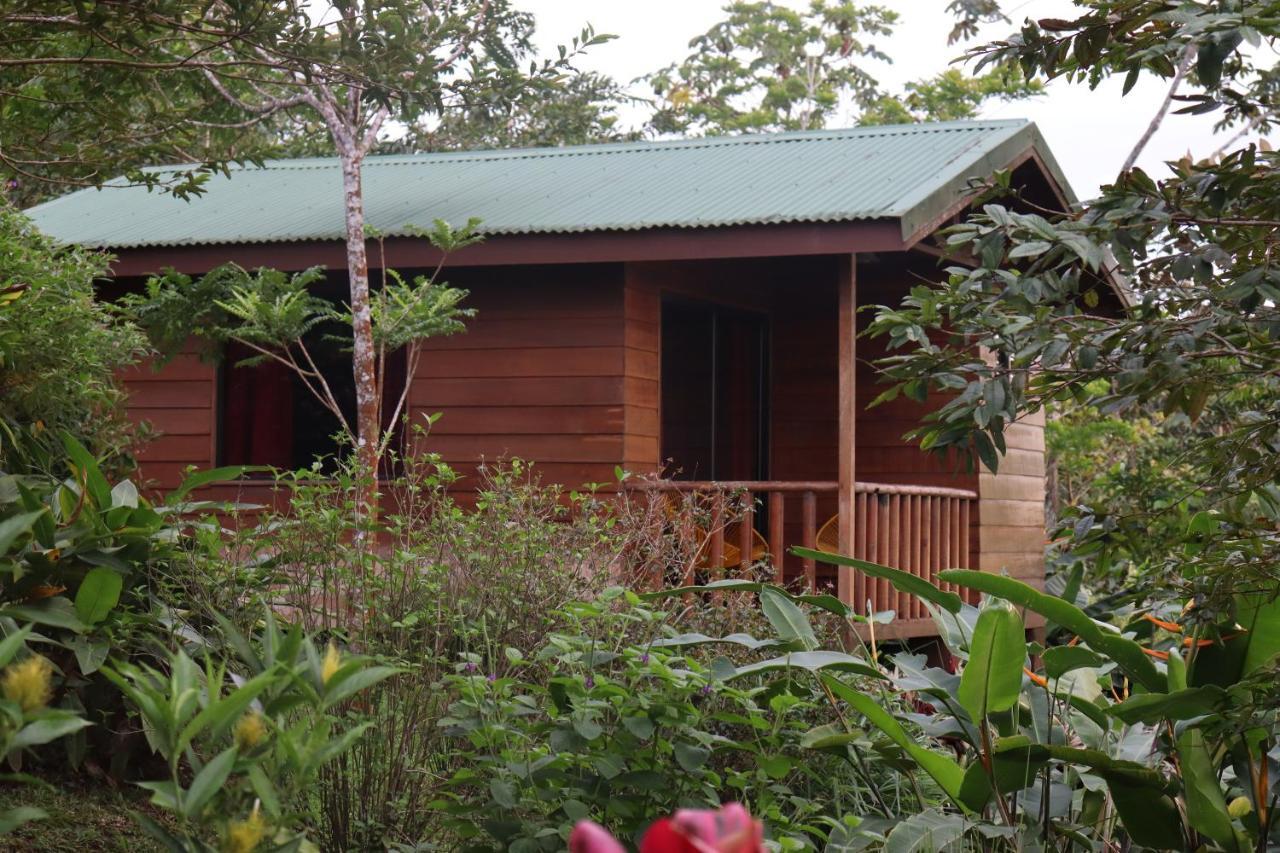 Eco Granja Don Lolo Villa Quesada  Екстериор снимка