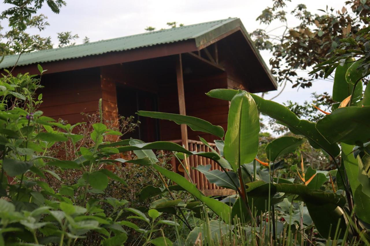 Eco Granja Don Lolo Villa Quesada  Екстериор снимка