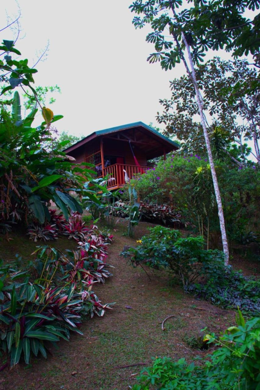 Eco Granja Don Lolo Villa Quesada  Екстериор снимка