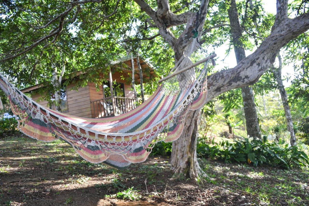 Eco Granja Don Lolo Villa Quesada  Екстериор снимка